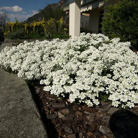 La Grolla Varenna